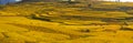 Rice fields on terraced in Autumn